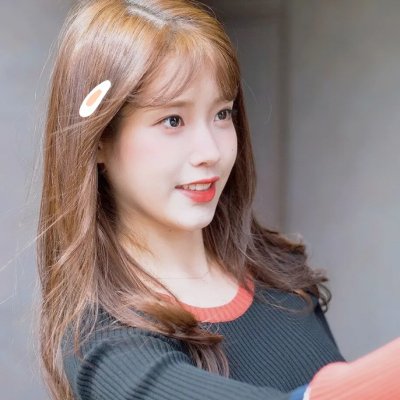 姐妹花的守护者